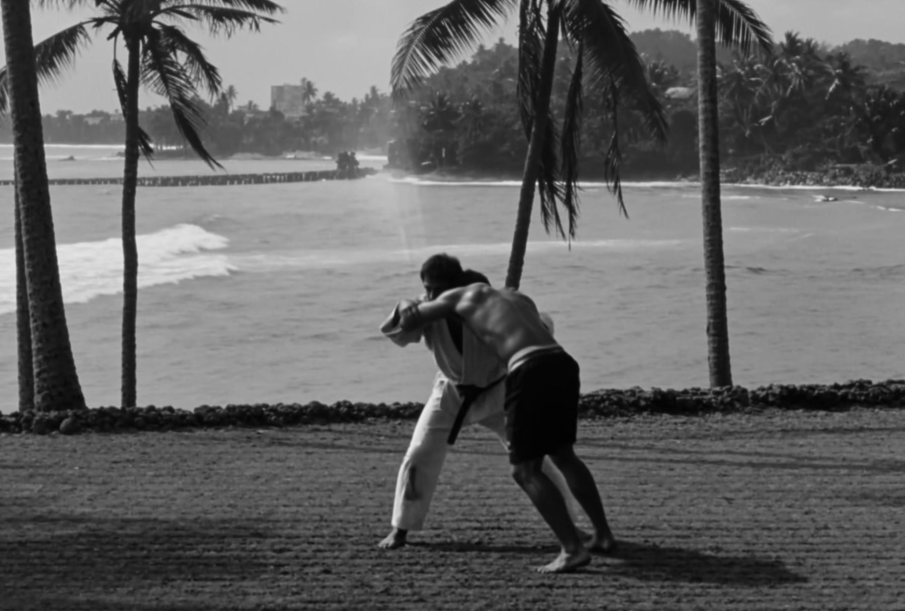 Two people grappling on open ground under palms, the sea behind them.